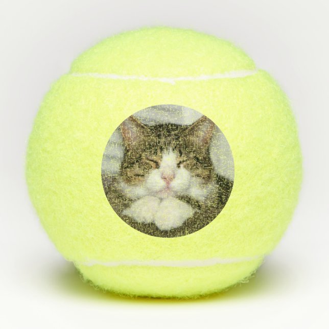 Pelotas De Tenis Gato de corte (Anverso)