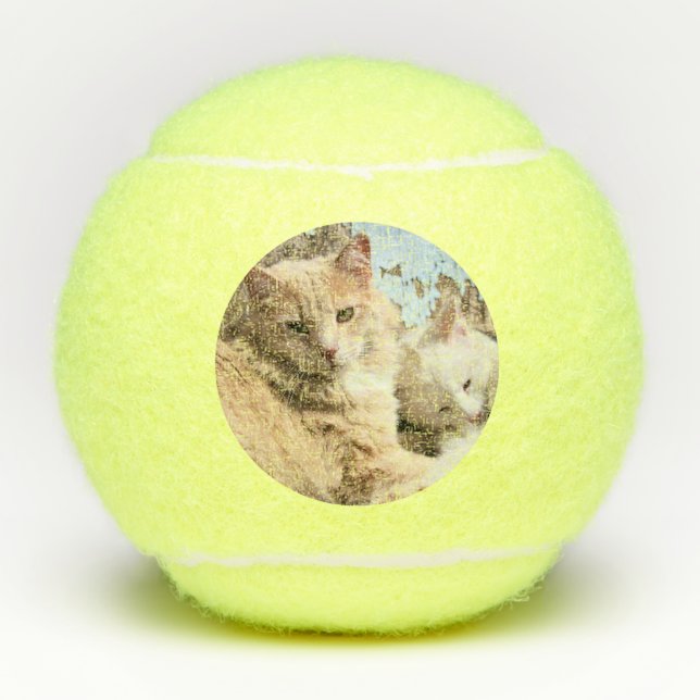 Pelotas De Tenis Gatos (Anverso)