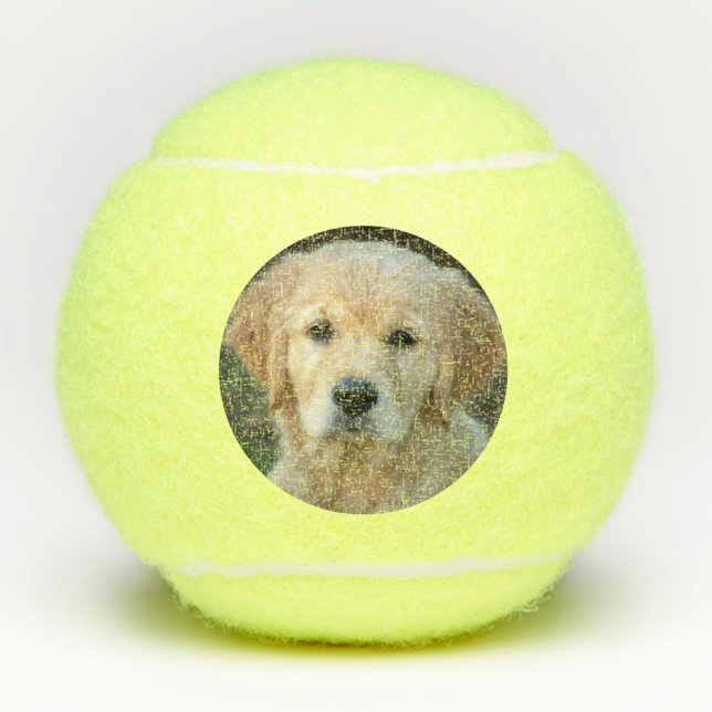 Pelotas De Tenis Golden Retriever Puppy (Anverso)