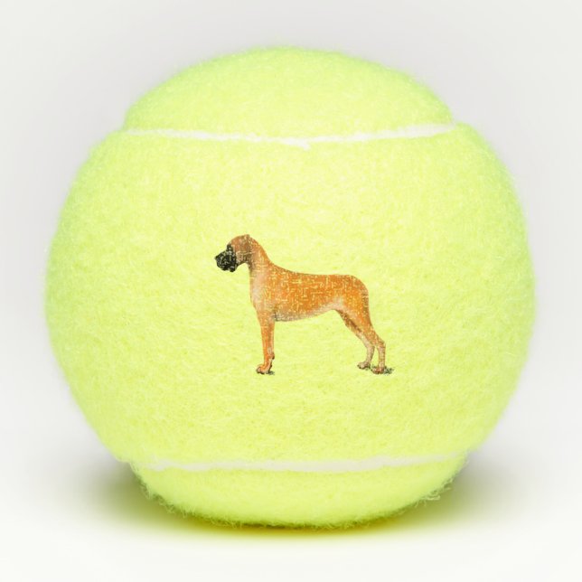 Pelotas De Tenis Great Dane Balls (Anverso)