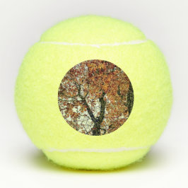 Pelotas De Tenis Hojas doradas
