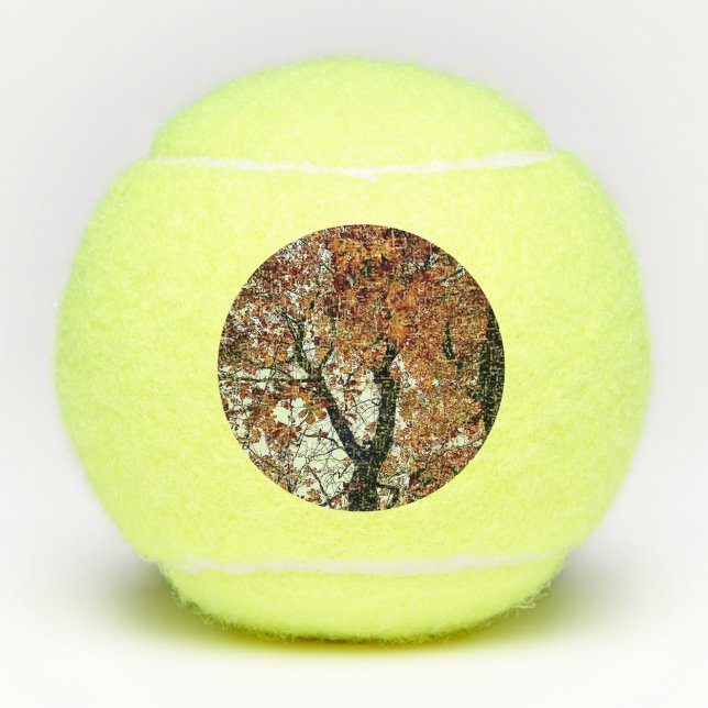 Pelotas De Tenis Hojas doradas (Anverso)