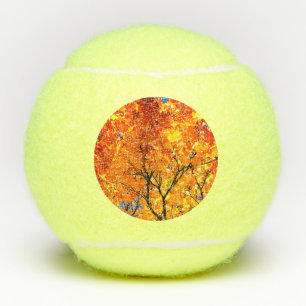 Pelotas De Tenis hojas naranjas