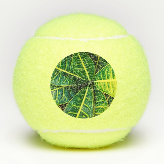 Pelotas De Tenis Hojas verdes (Anverso)