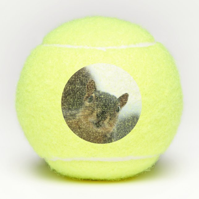 Pelotas De Tenis Hola. (Anverso)