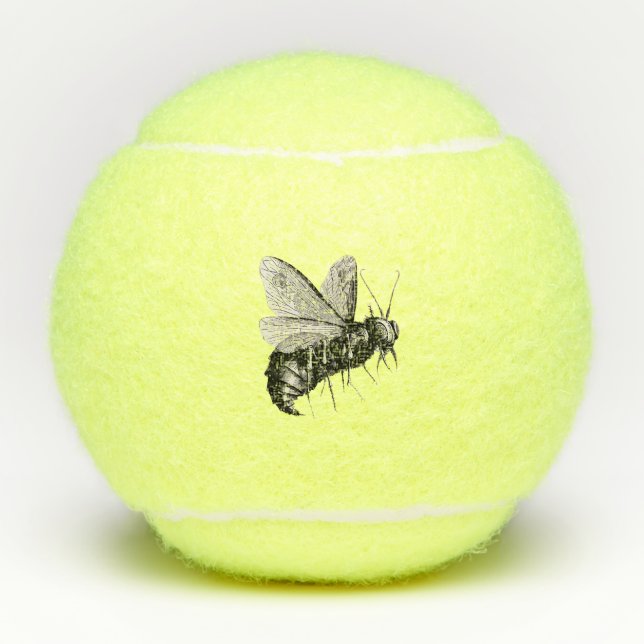 Pelotas De Tenis Hueso de cráneo de abeja blanca gótica sobre alas (Anverso)