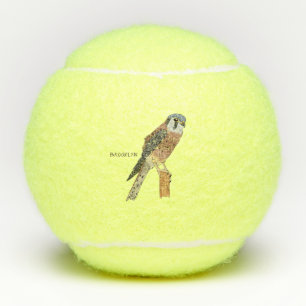 Pelotas De Tenis Ilustracion americano de aves de Kestrel