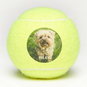 Pelotas De Tenis Juguete de encargo de la búsqueda del perrito del