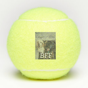 Pelotas De Tenis Mascotas amigos bestias agregar nombre mascota fot
