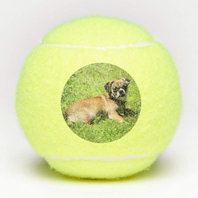 Pelotas De Tenis Molly (Anverso)
