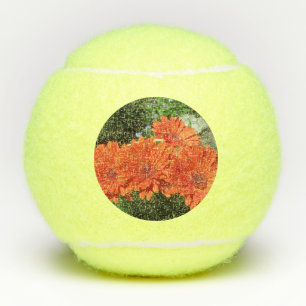 Pelotas De Tenis Naranja Daisy Photo Tennis Ball