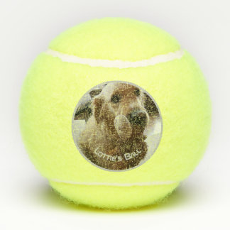 Pelotas De Tenis Nombre de foto del perro Mascota Playtoy