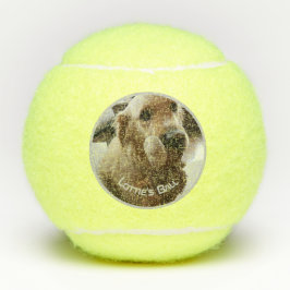 Pelotas De Tenis Nombre de foto del perro Mascota Playtoy