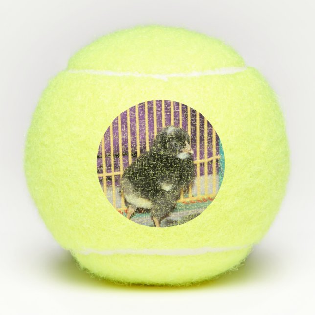 Pelotas De Tenis Peep (Anverso)