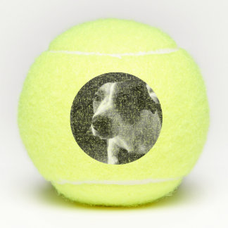 Pelotas De Tenis Perro Tamplate