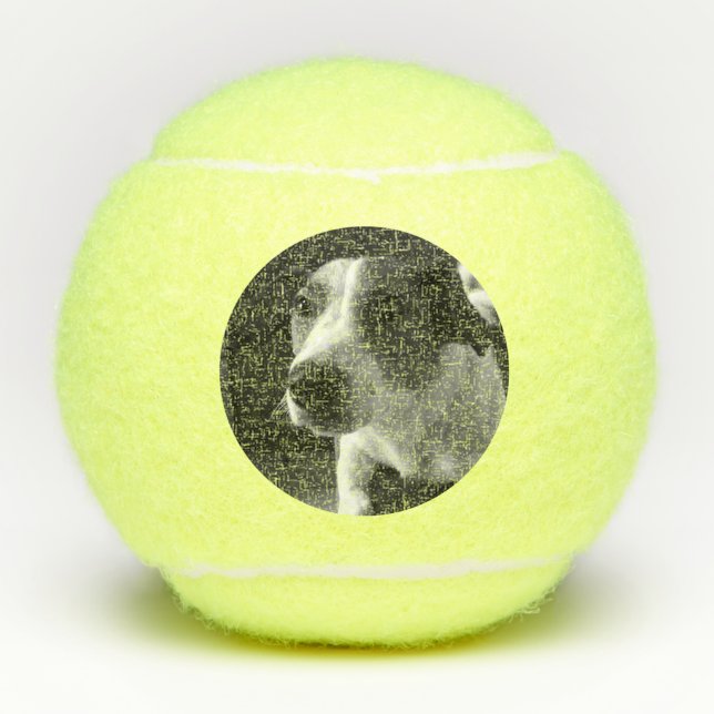 Pelotas De Tenis Perro Tamplate (Anverso)