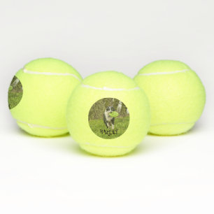 Pelotas De Tenis Personaliza imagen de perro mascota nombre tiempo 