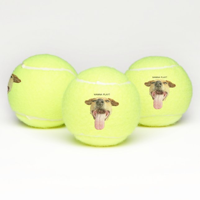 Pelotas De Tenis Personalizado Funny Wanna Play Dog (Múltiples)