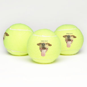 Pelotas De Tenis Personalizado Gracioso Quiere Jugar Perro