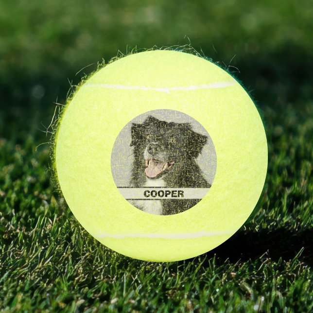Pelotas De Tenis Personalizado Personalizado Jugador de Tenis Masco (Your pet dogs new favorite dog ball. Complete with photo and name. Perfect for parks, beach and home)