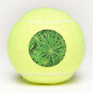 Pelotas De Tenis Planta verde