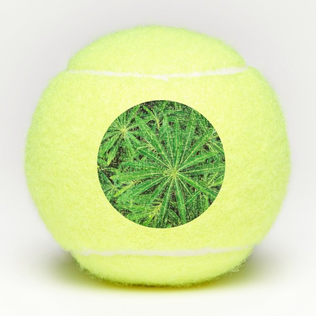 Pelotas De Tenis Planta verde (Anverso)