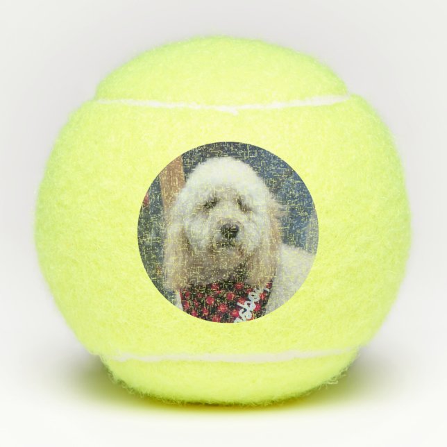Pelotas De Tenis Poodle (Anverso)