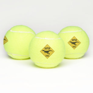 Pelotas De Tenis Raptor XING