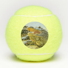 Pelotas De Tenis Retrato del cocodrilo. Cara a cara.