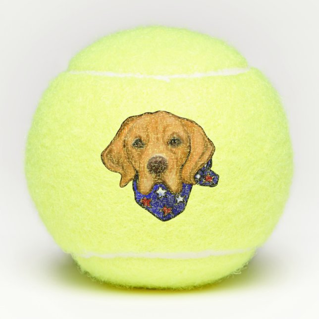 Pelotas De Tenis Retriever Dorado (Anverso)