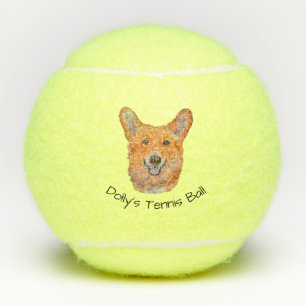 Pelotas De Tenis Salones de tenis Corgi Penn sonrientes