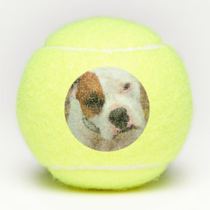 Pelotas De Tenis Salto
