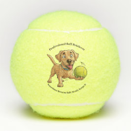 Pelotas De Tenis Salto de tenis "recuperador profesional de bolas"