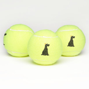 Pelotas De Tenis Schnauzer Prince