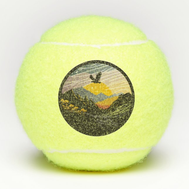 Pelotas De Tenis Snowdonia (Anverso)