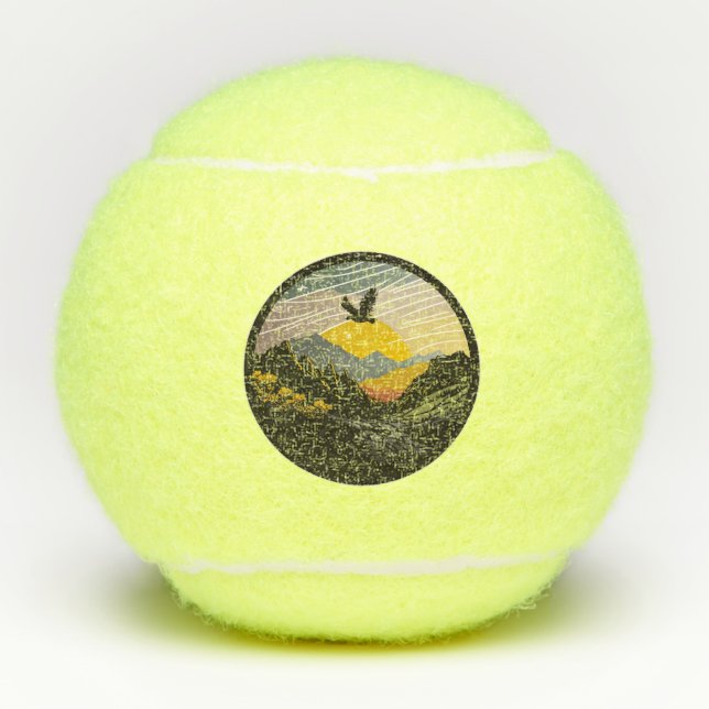 Pelotas De Tenis Snowdonia (Anverso)