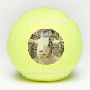 Pelotas De Tenis Su cámara se ve sabrosa