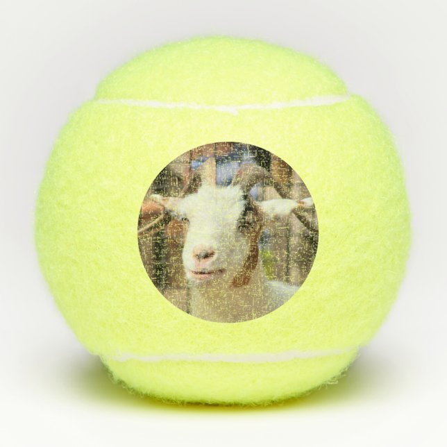 Pelotas De Tenis Su cámara se ve sabrosa (Anverso)