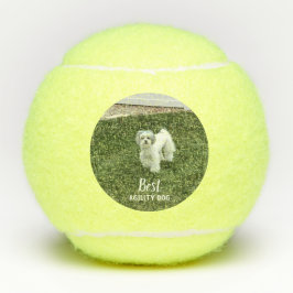 Pelotas De Tenis Tu Mascota Foto Personalizada Con Texto