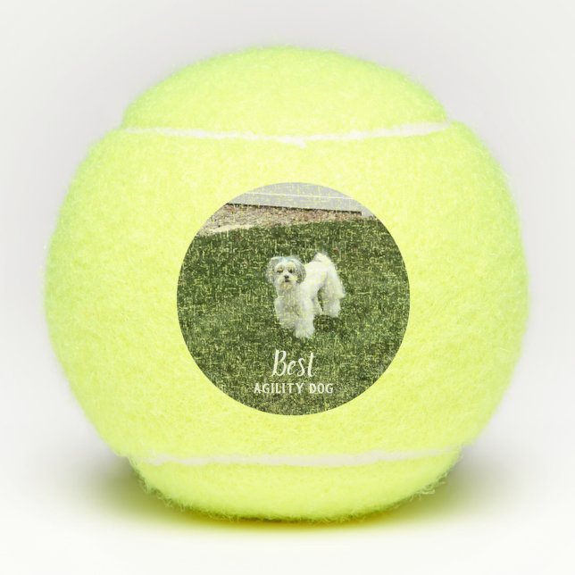 Pelotas De Tenis Tu Mascota Foto Personalizada Con Texto (Anverso)