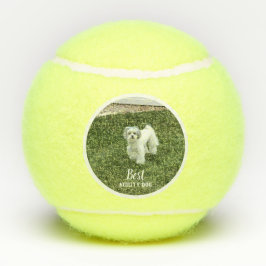 Pelotas De Tenis Tu Mascota Foto Personalizada Con Texto