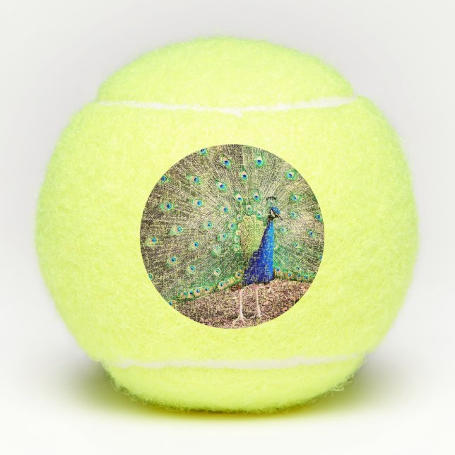 Pelotas De Tenis Un pavo real (Anverso)