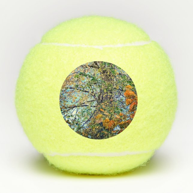 Pelotas De Tenis Una variedad de hojas (Anverso)