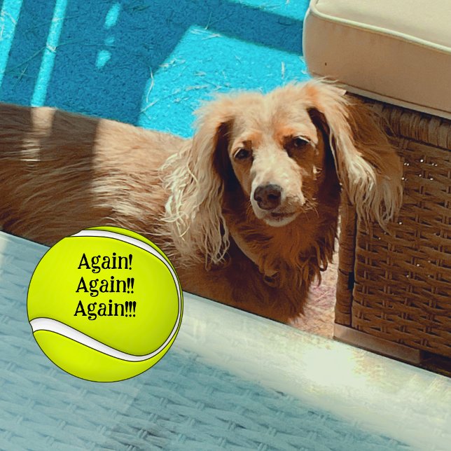 Pelotas De Tenis Una vez más Perro Mamá Divertida (My dog loves chasing tennis balls!)