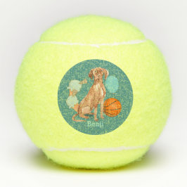 Pelotas De Tenis Verde azulado de Vizsla