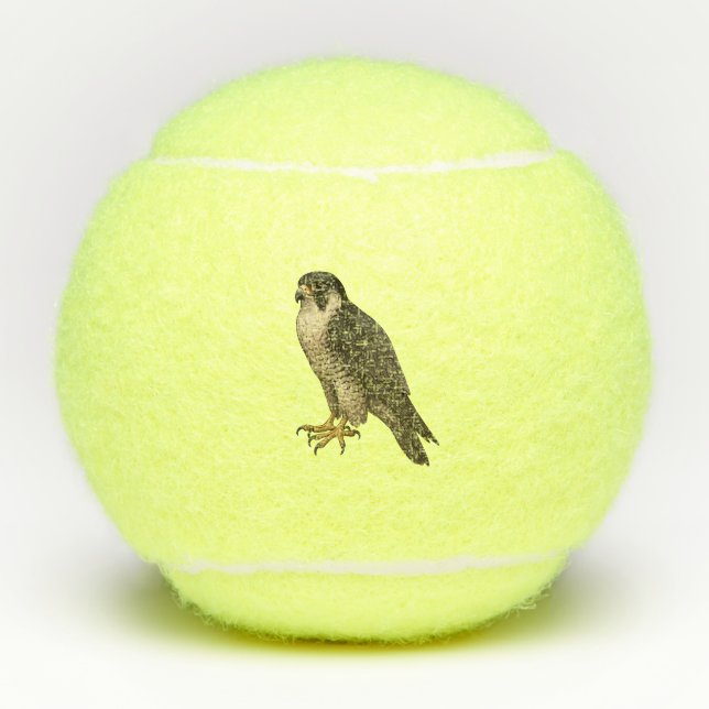 Pelotas De Tenis Wanderfalke (Anverso)