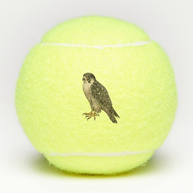 Pelotas De Tenis Wanderfalke (Anverso)