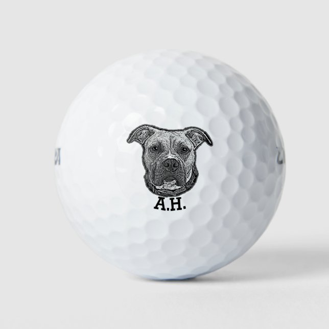Pelotas monogramadas de golf de Pitbull (Anverso)