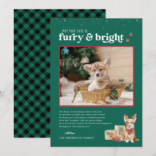 Peludo y Brillante Tarjeta de Foto de Mascota pa
