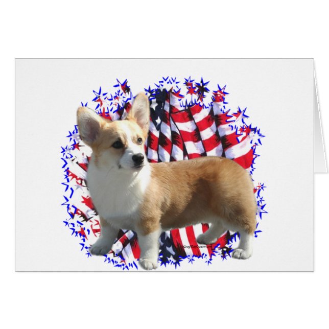 Pembroke Welsh Corgi Patriot (Anverso (Horizontal))